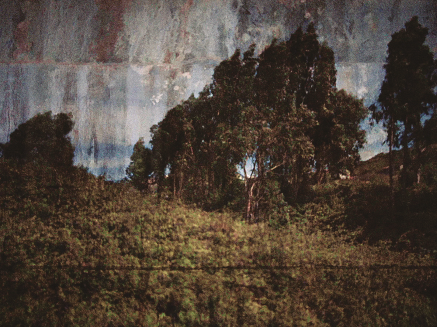 Exposição “Primeiras Impressões de uma Paisagem” na Solar