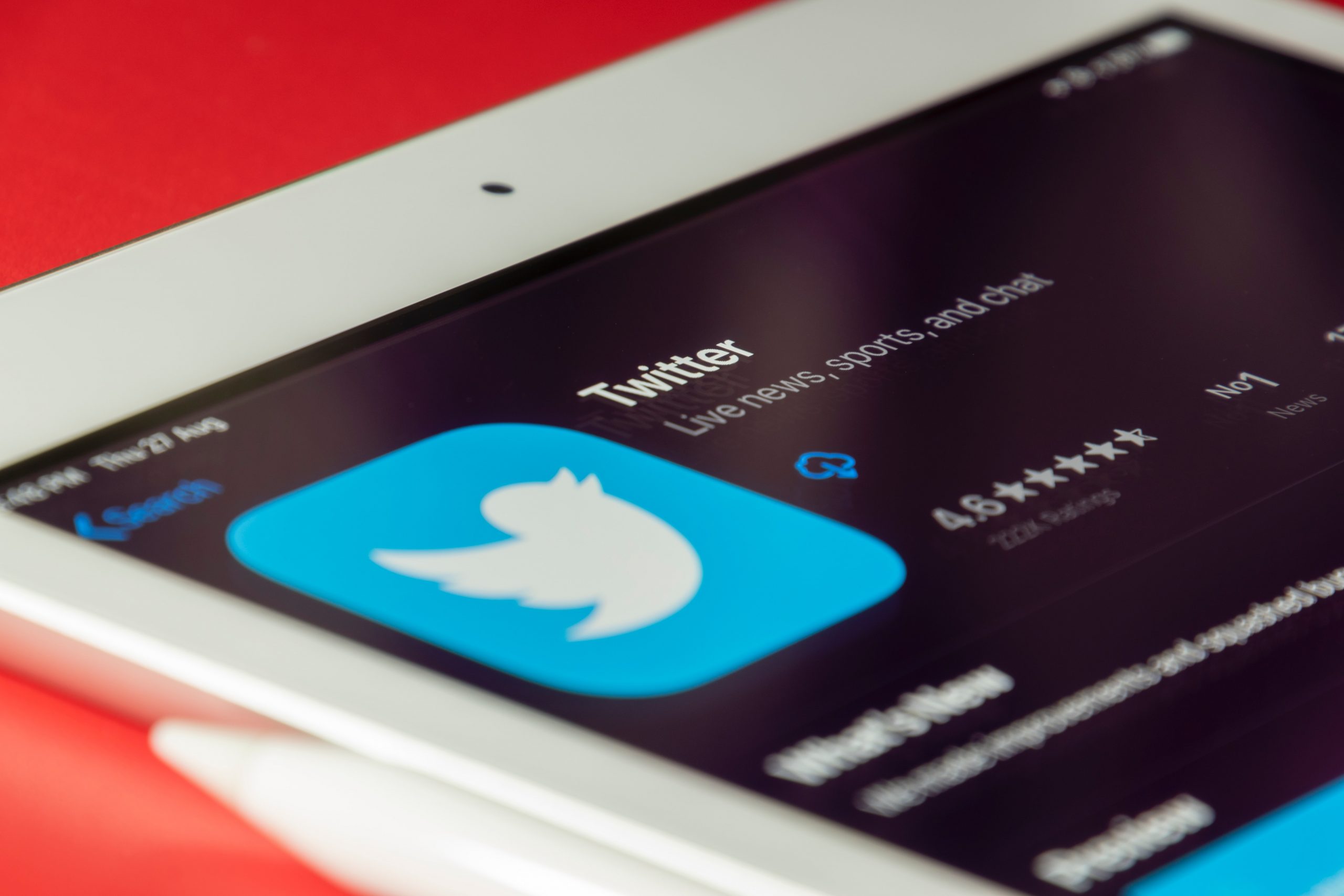 gerador-esqrever-twitter-elon-musk-legitima-ataques-a-pessoas-queer