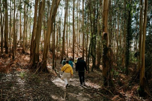Fotografia de Cheri Cheri Media